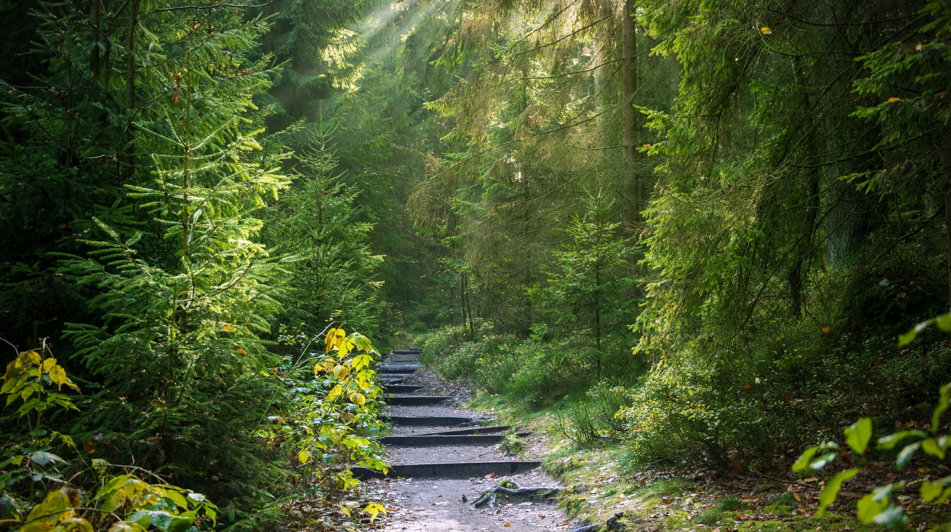 37.628ha - chiếm 64% diện tích đảo